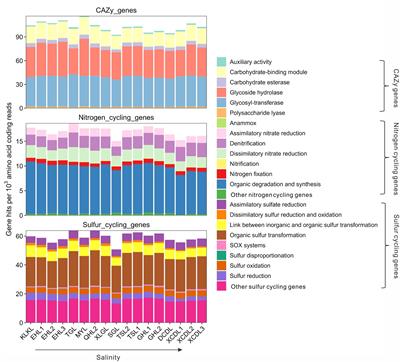 Influence of salinity on the diversity and composition of carbohydrate metabolism, nitrogen and sulfur cycling genes in lake surface sediments